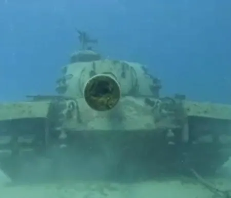 Neptune Dive Club *