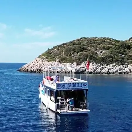 Neptune Dive Club